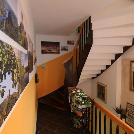 Alte Weinbauschule Villa Cochem Exterior foto